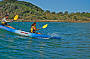 Surf Kayaking (optional)